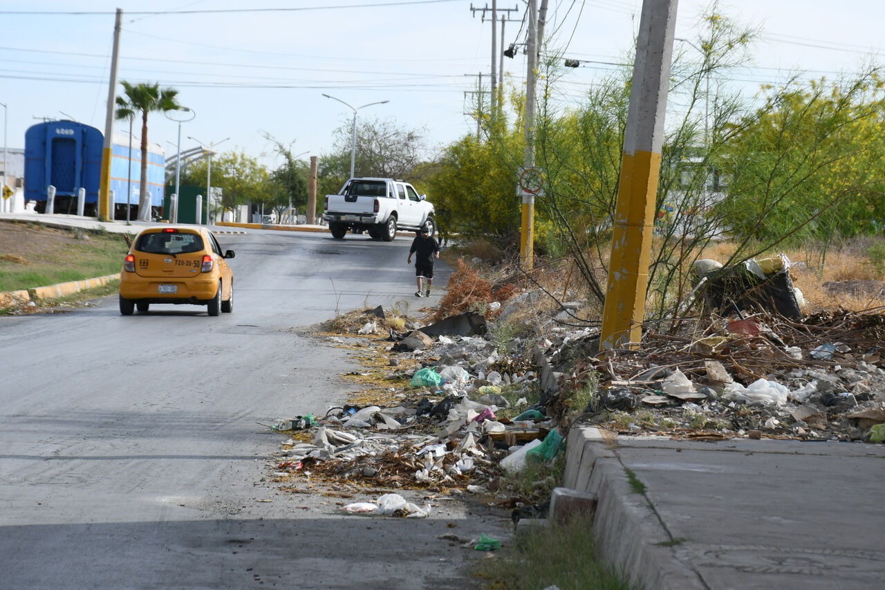 Desechos invaden zona vehicular. En los alrededores de la Línea Verde es común observar banquetas repletas de basura, escombros y vegetación muerta.