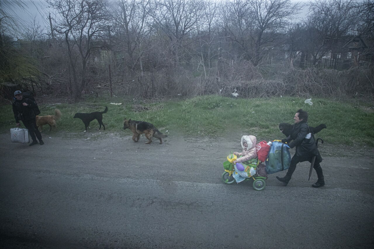 El grupo de personas liberadas se encuentra ya a salvo y de regreso en territorio ucraniano. (ARCHIVO)
