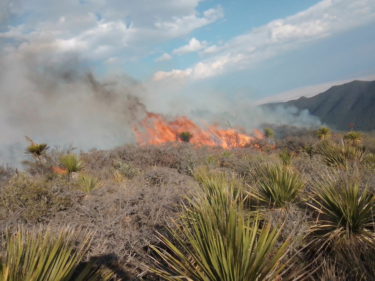 Se complica combate de incendio en Arteaga