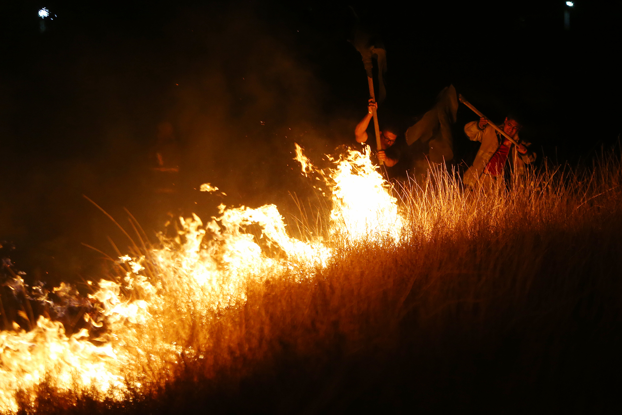 Durango es el estado con más incendios activos y el segundo con mayor superficie afectada. (EL SIGLO DE TORREÓN)