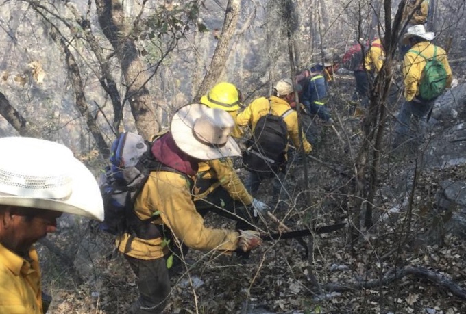 Fue el pasado miércoles que el incendio comenzó en el área protegida del Cañón, en el cual varias hectáreas se han visto siniestradas. (ARCHIVO)