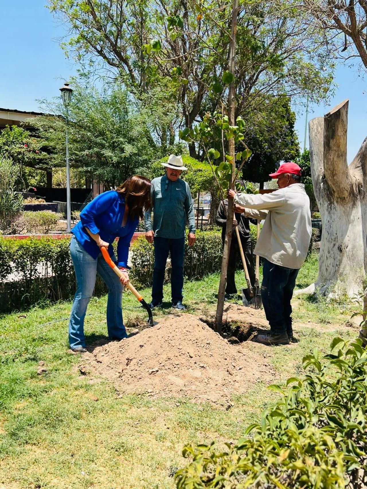 Patronato de la Unidad Deportiva de Torreón (UDT) ejecuta una acción de reforestación en todo el espacio. (EL SIGLO DE TORREÓN)