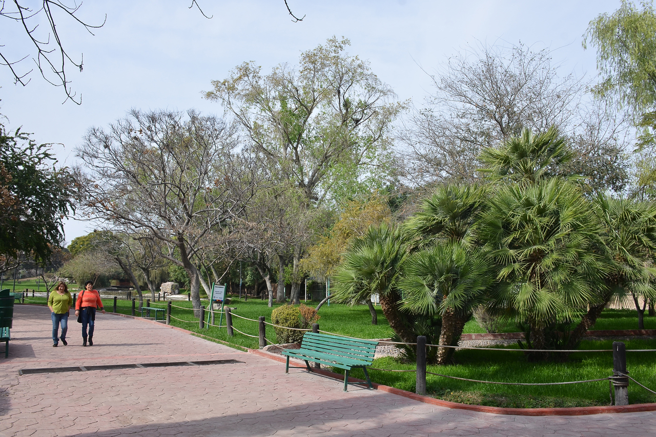 Se tienen contabilizadas en Torreón unas 500 colonias que deberían contar con un área verde.