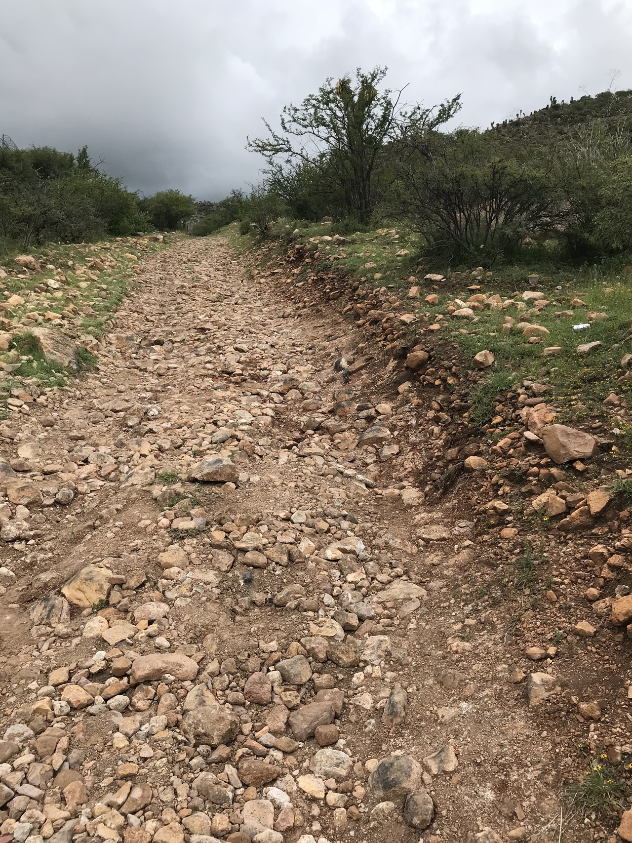 Señalan que más del 50 por ciento de los caminos rurales del municipio De Durango se encuentran en mal estado. (DURANGO)