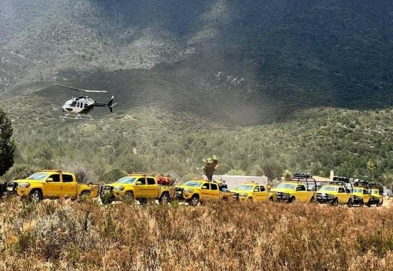 Incendios Arrasan Con Más De 65 Mil Hectáreas En Durango El Siglo De