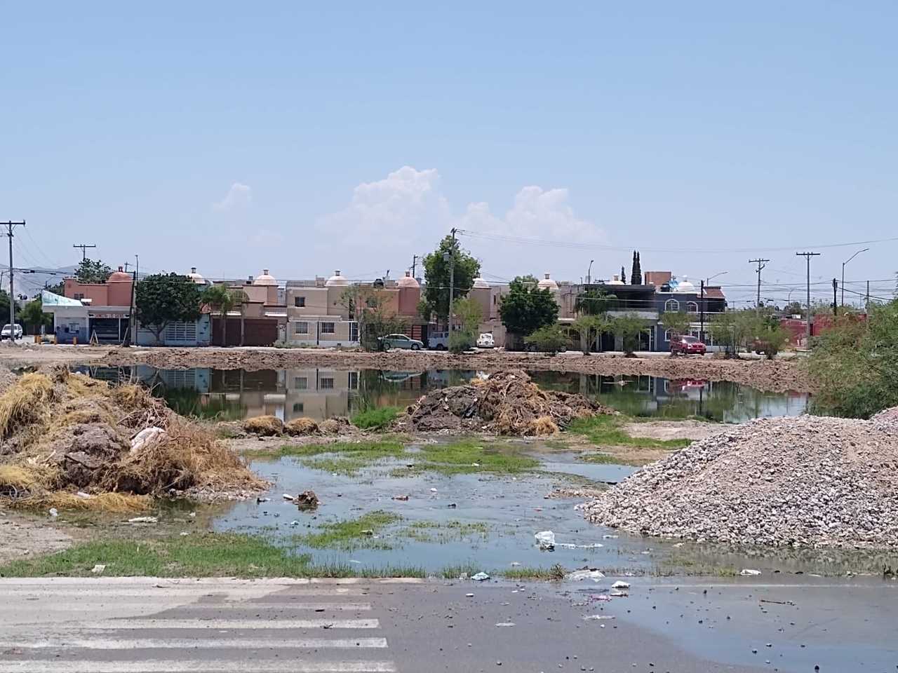 Vecinos de Campo Nuevo Zaragoza padecen de malos olores y un ambiente insalubre por los brotes sin control de aguas negras.
