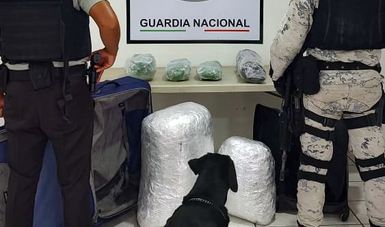 Guardia Nacional decomisa paquetes de aparente cristal, cocaína y marihuana en cuatro estados de México