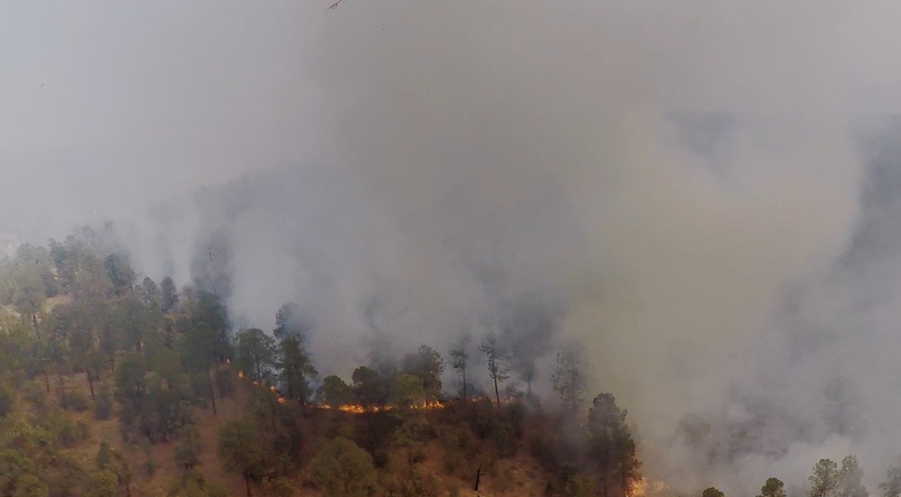 Durango rompe récord de daños por incendios forestales