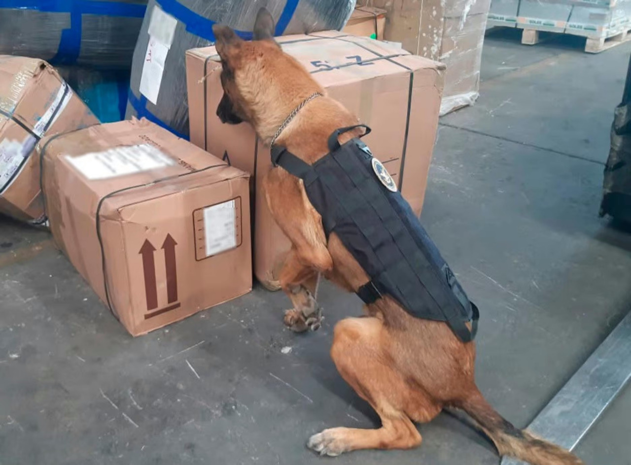 Gracias a los binomios caninos de la GN se ha detectado el traslado de paquetes con droga.