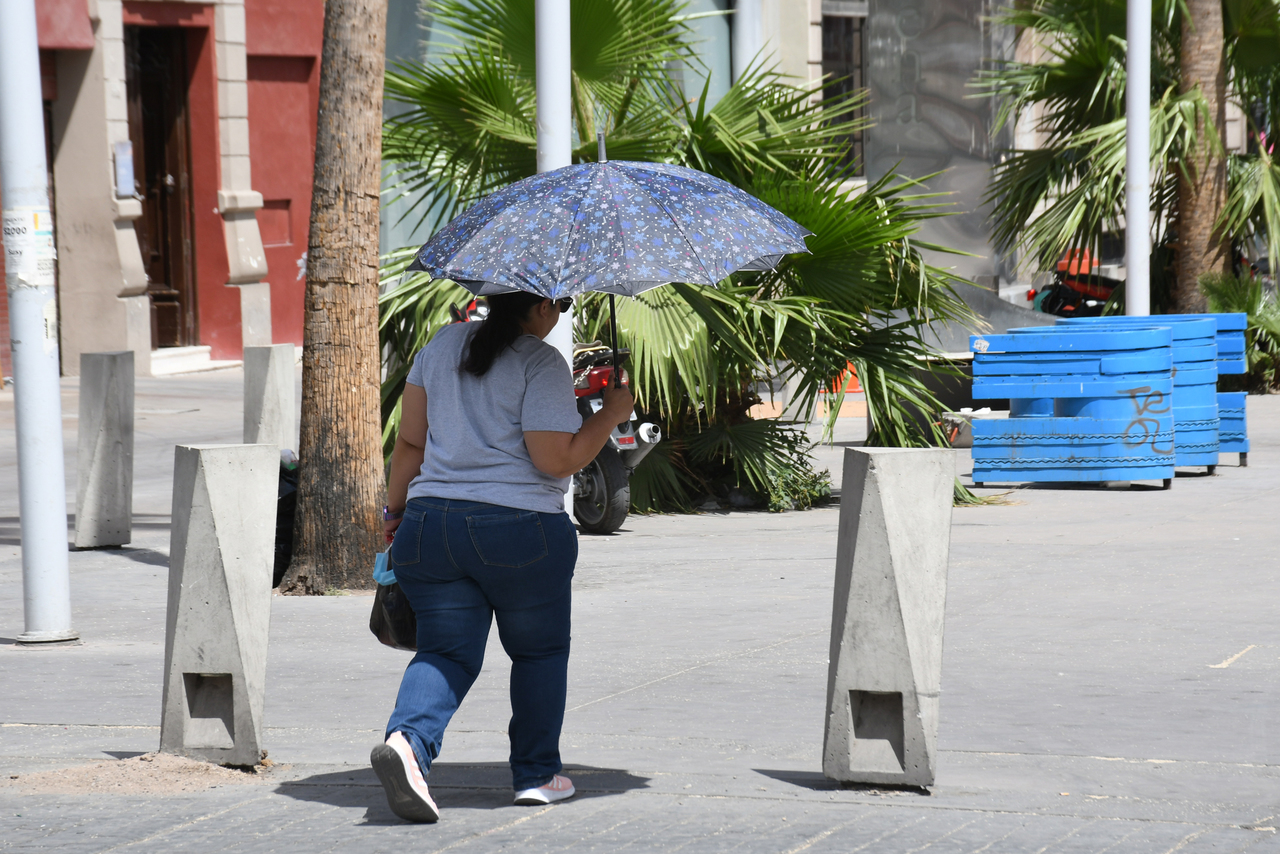 Regresan las temperaturas superiores a los 40 grados centígrados a La Laguna.