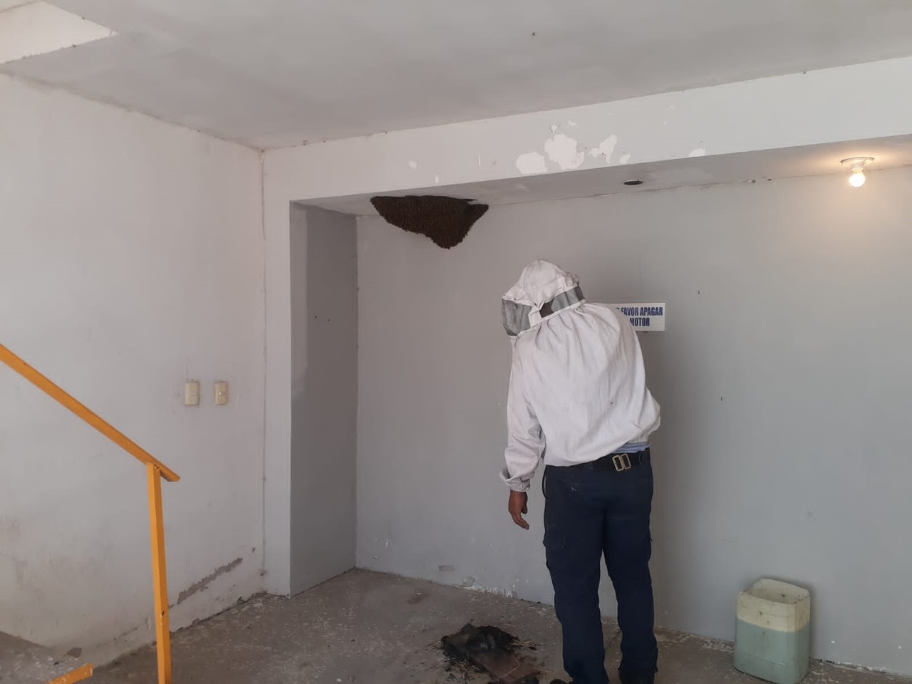 Bomberos acudieron a motel de Torreón para retirar un enjambre de abejas apostado en una de las cocheras del lugar.