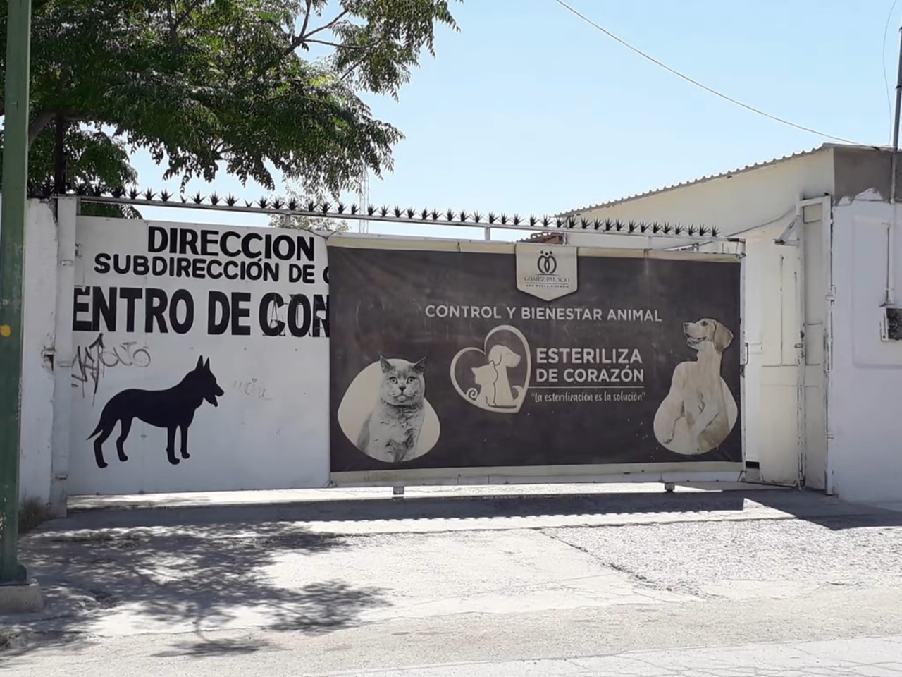 Denuncian negativa de Control y Bienestar Animal de Gómez Palacio. (EL SIGLO DE TORREÓN)