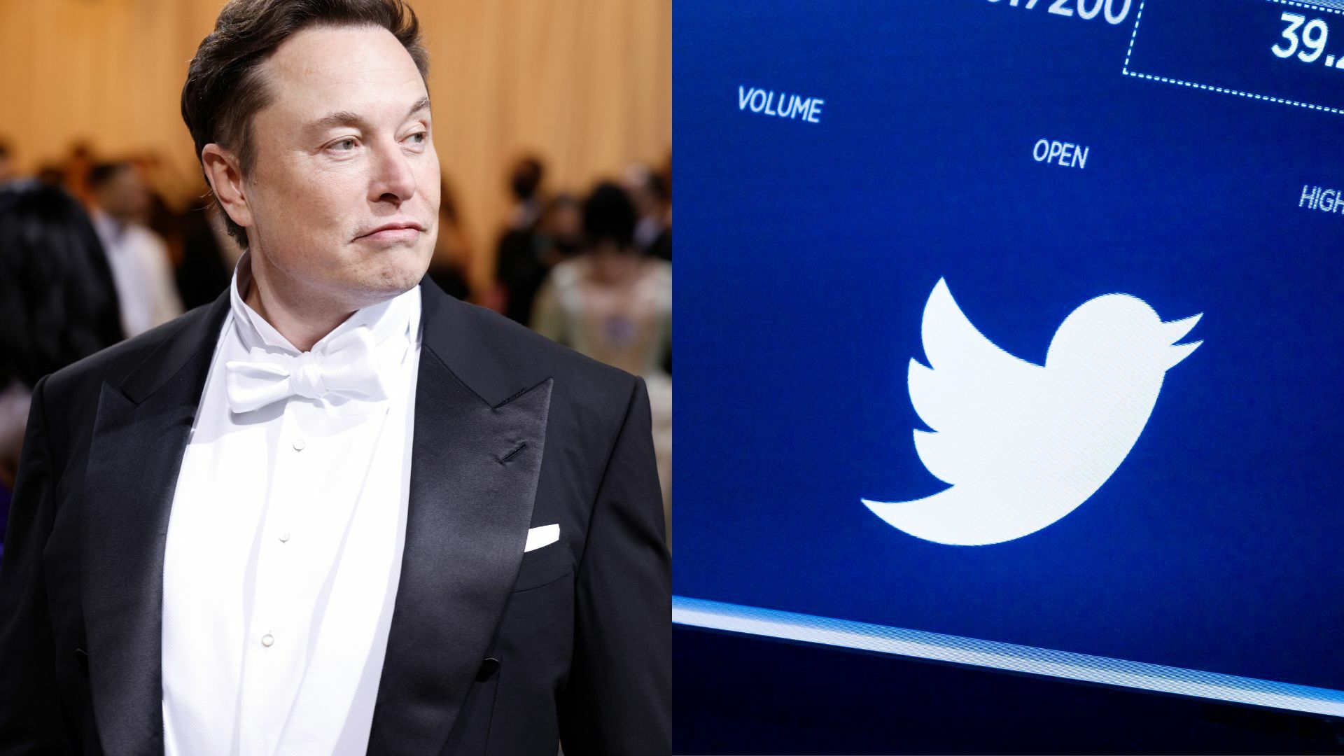 Elon Musk asegura que la compra de Twitter podría cerrarse si logra datos de usuarios
