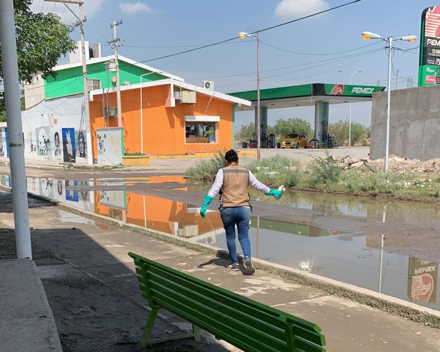 Estudian caso probable de dengue en Torreón, se han descartado 14 - El Siglo