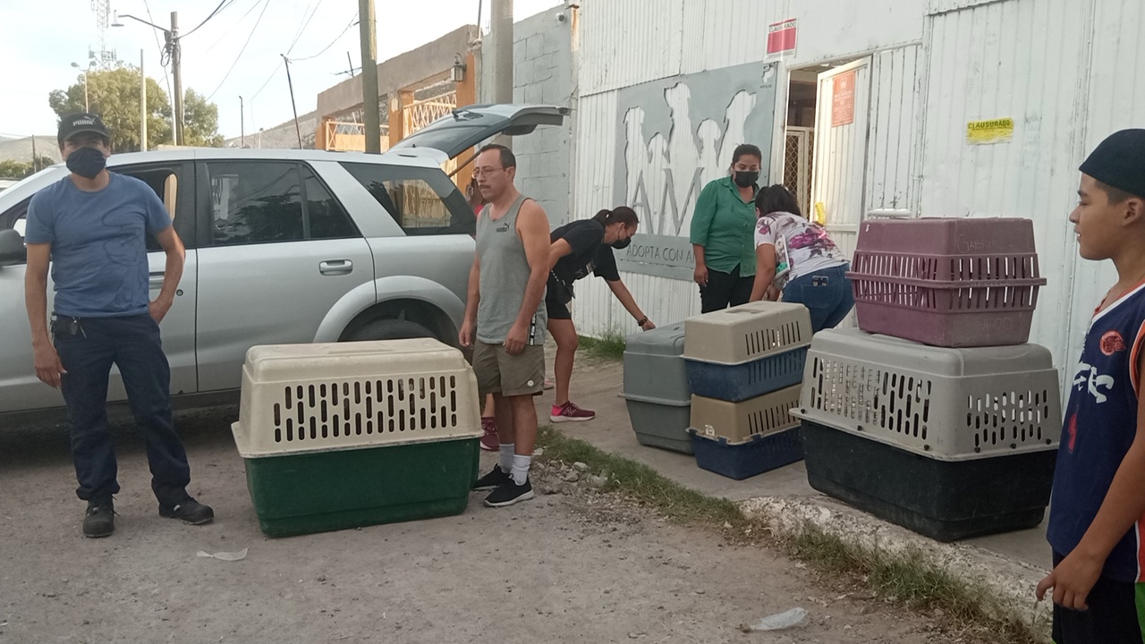 Personal de Prevención Social intentaron desalojar a los canes el pasado viernes. (EL SIGLO DE TORREÓN)