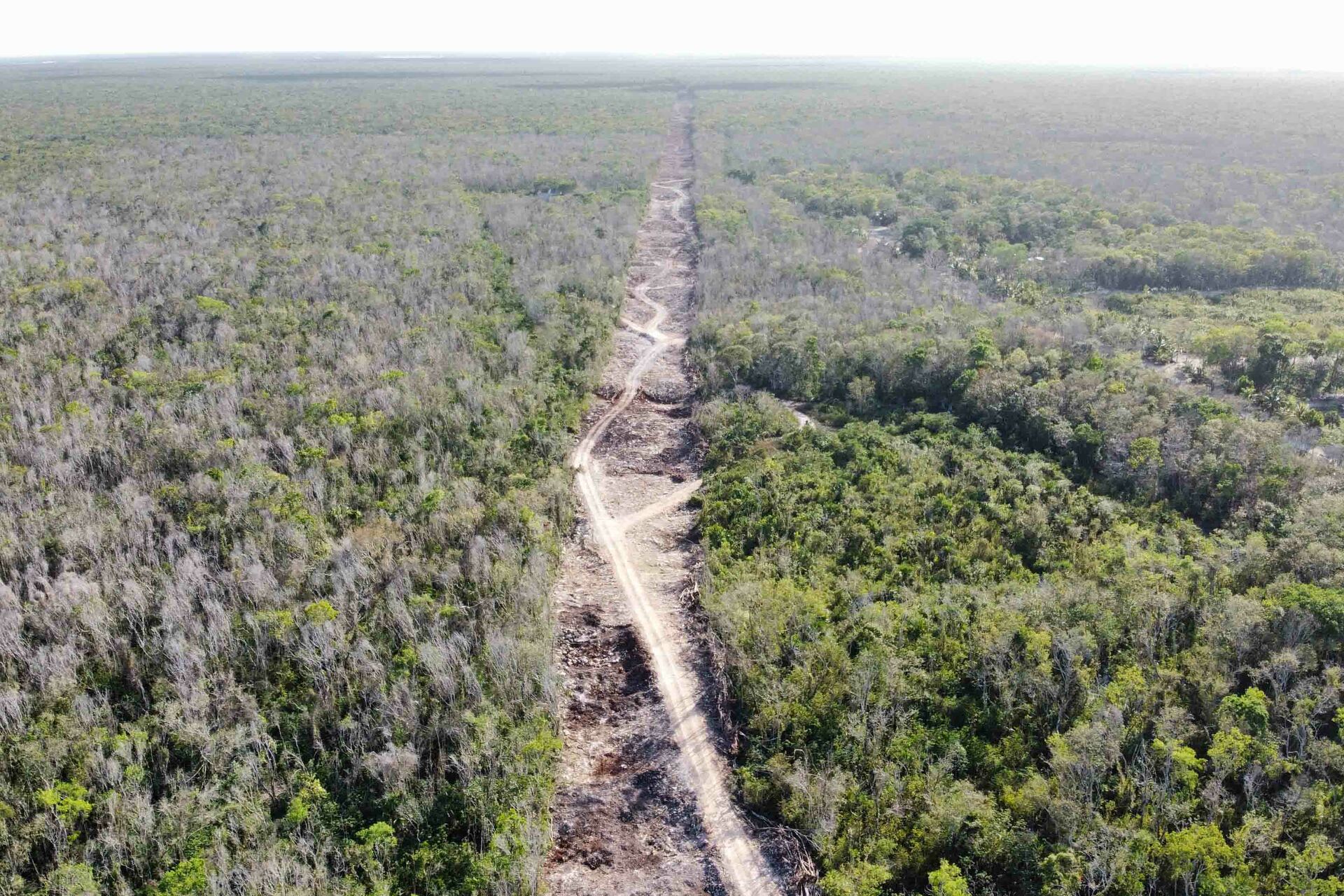 Habrá Tren Maya, dice AMLO: no procedieron amparos y reinician obras
