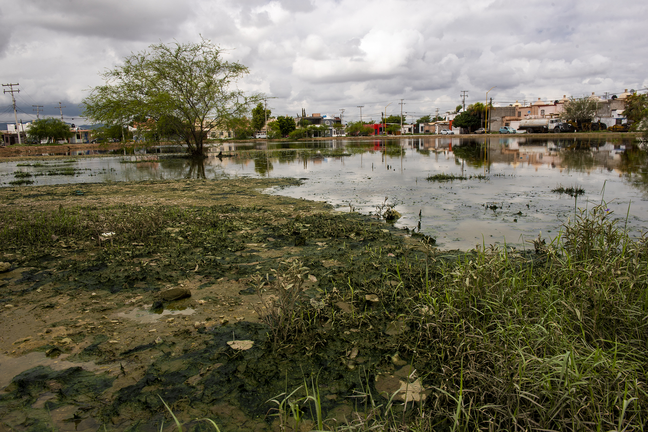 Colonos manifiestan 'extrañamiento' ante constantes inundaciones.