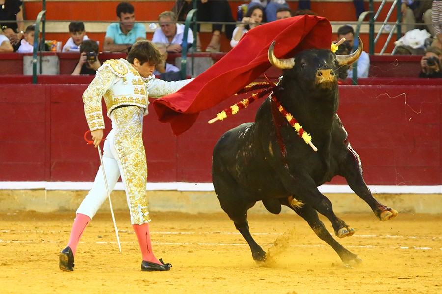 Sin opciones, Arturo Gilio en Zaragoza