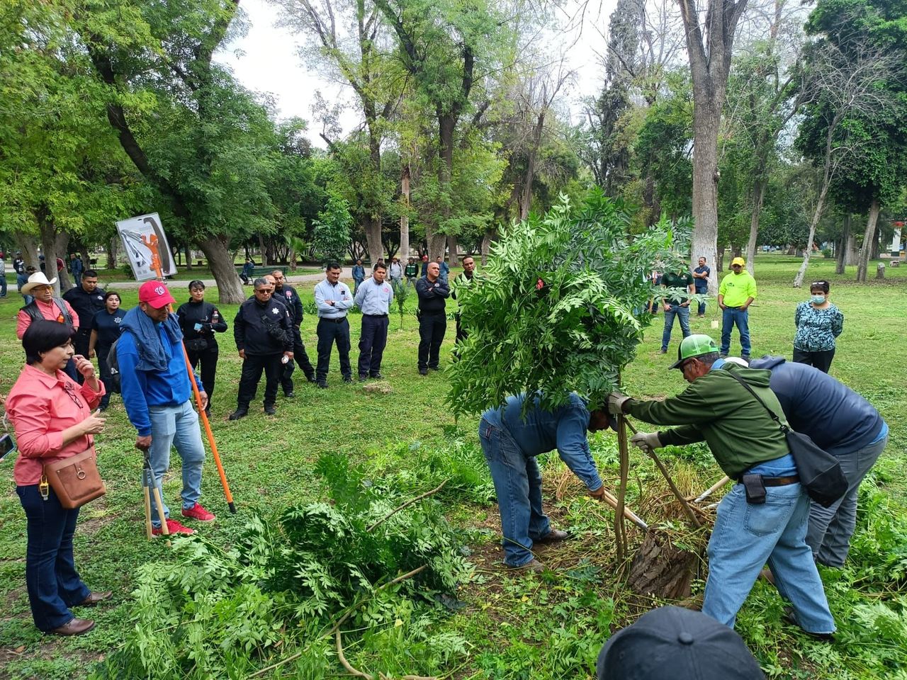 Trabajadores municipales recibieron un taller sobre podas y talas de árboles. (EL SIGLO DE TORREÓN)