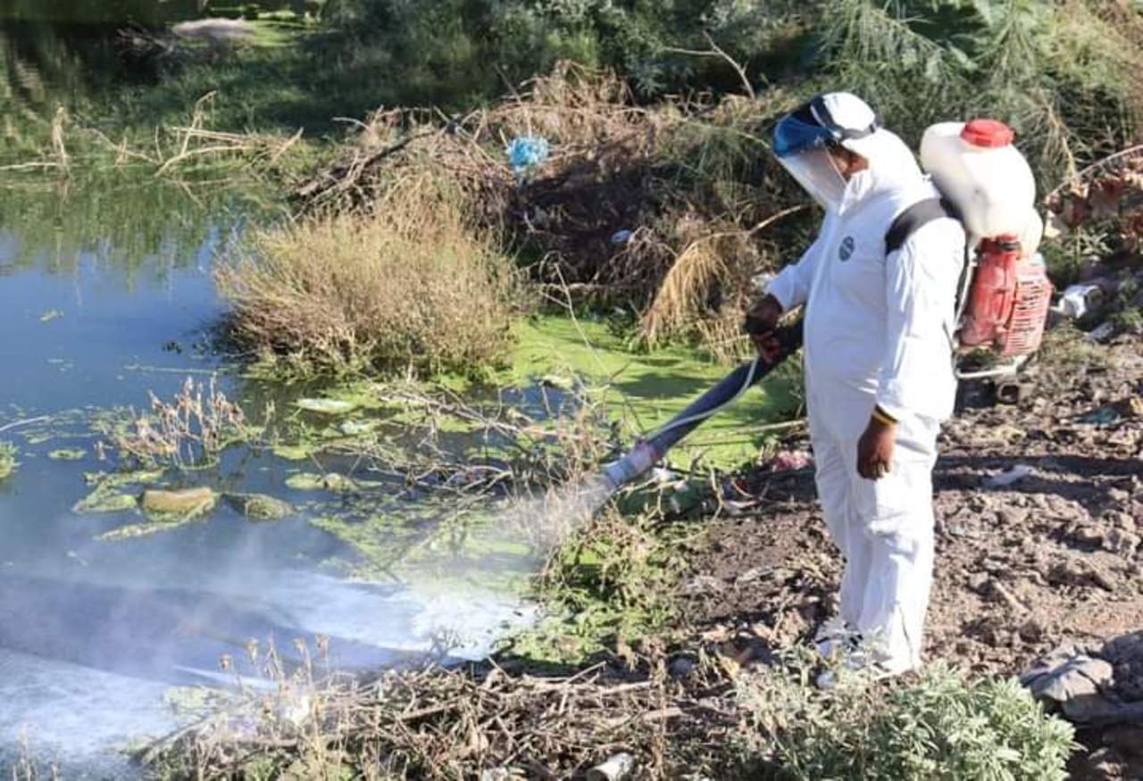 En esta ocasión trabajaron con la aplicación de abate líquido en el agua.