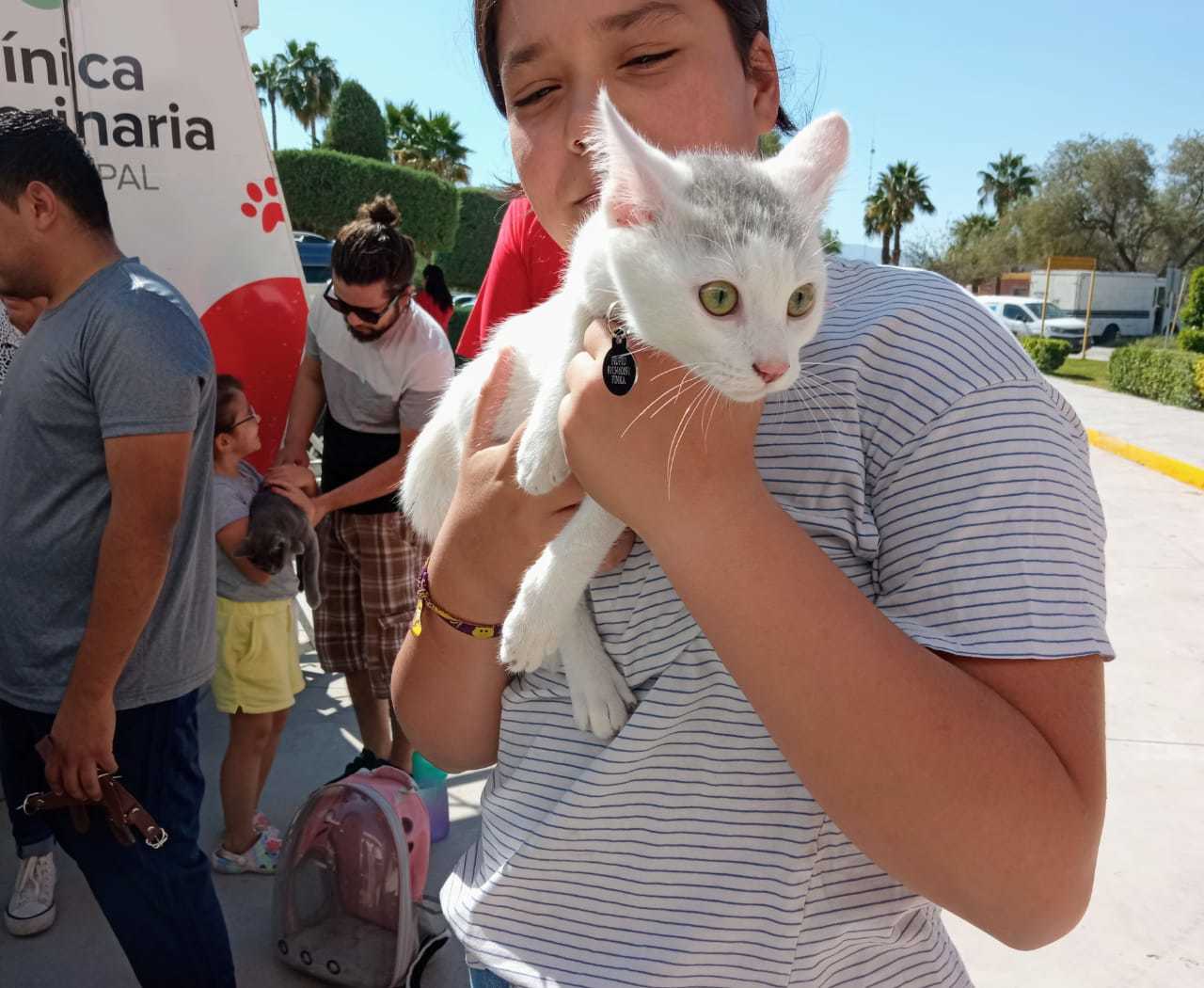 Los dueños de gatos respondieron al llamado de acudir a la Expo Felina 2022. (EL SIGLO DE TORREÓN)