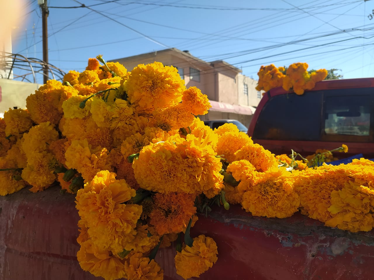 Vendedores de flores comienzan a instalarse en Matamoros