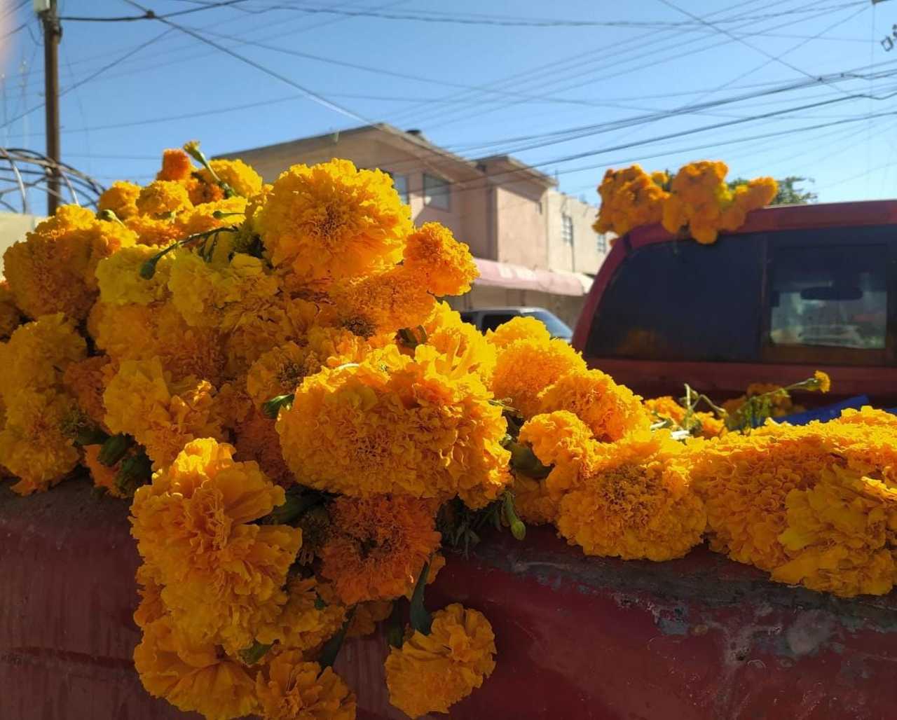 Matamoros se 'pinta' de amarillo con flores de cempasúchil - El Siglo