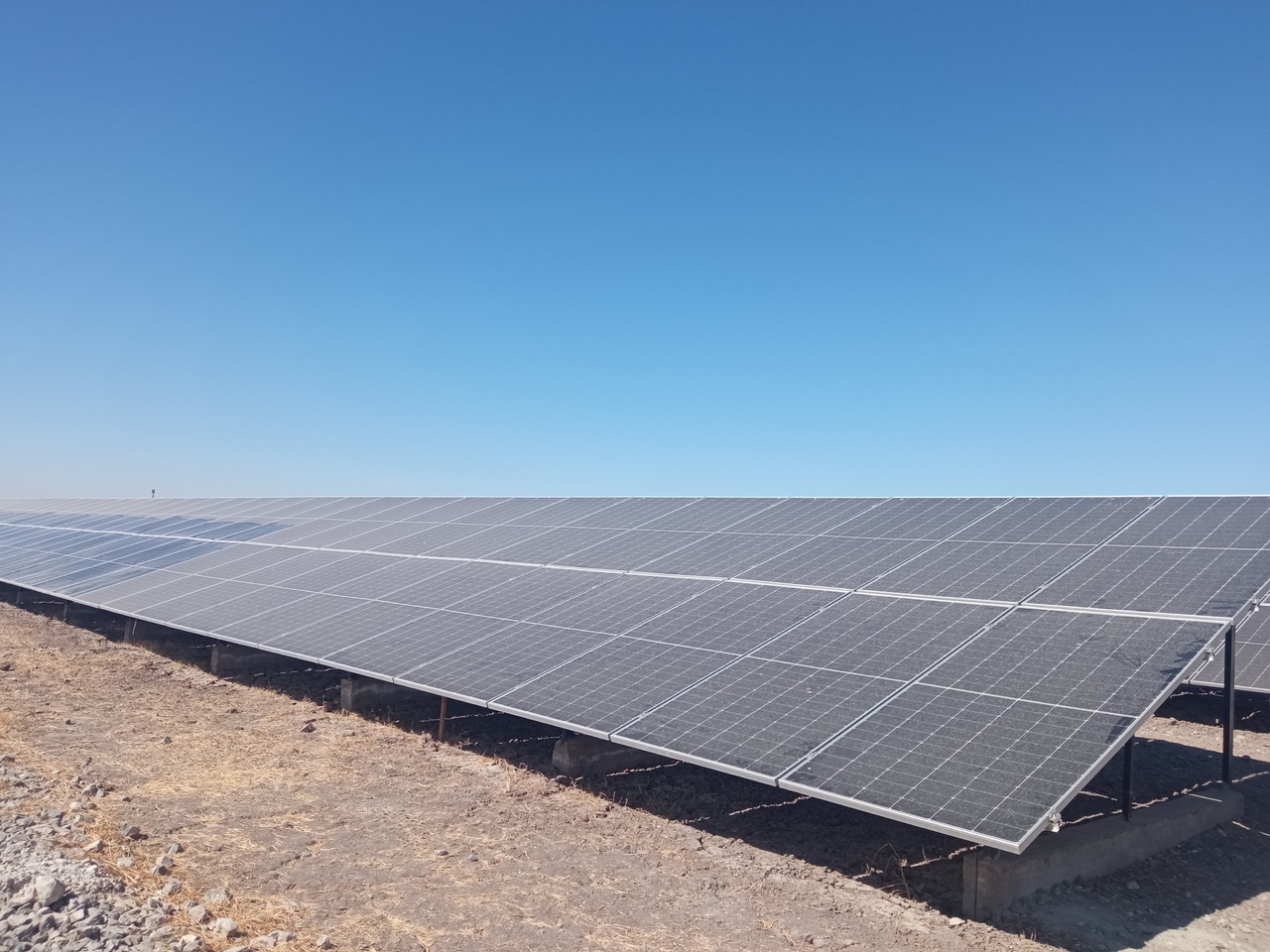 Se instalarán las granjas solares en varios municipios de la Comarca Lagunera. (EL SIGLO DE TORREÓN)