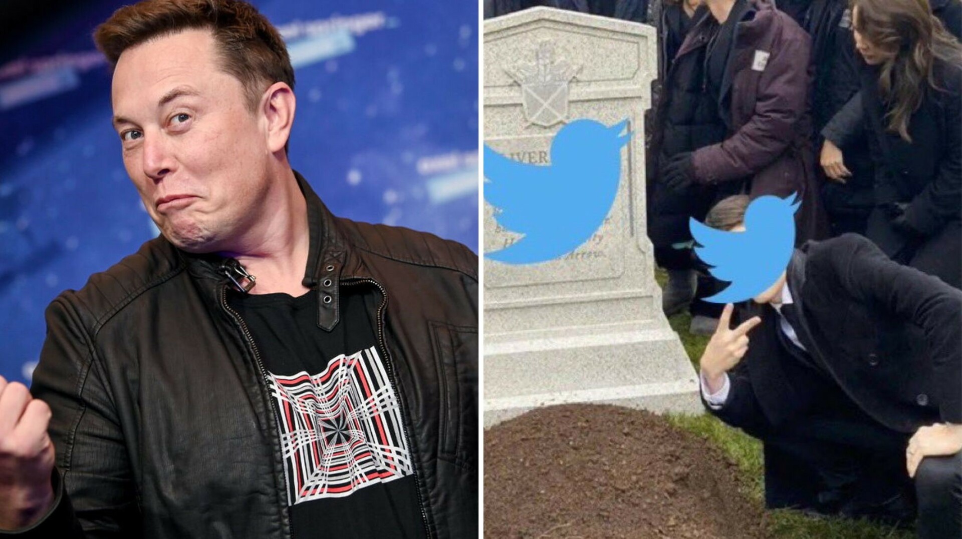 Elon Musk ha alimentado esa tendencia, incluso con memes en alusión de la supuesta muerte de la red social.