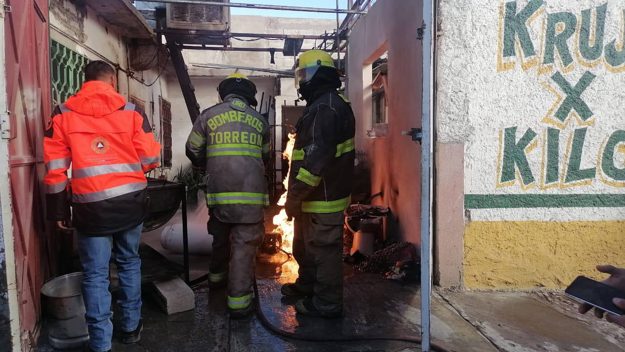 Otra perrita de la misma raza resultó prácticamente ilesa. (EL SIGLO DE TORREÓN)