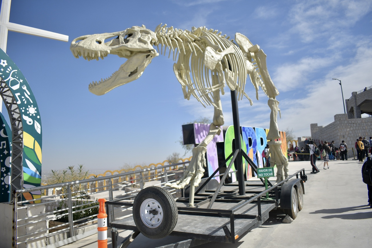 La Secretaría de Turismo y la Dirección del Puerto Noas, se encuentran hablando para que se queden más tiempo los Dinosaurios. (EL SIGLO DE TORREÓN)