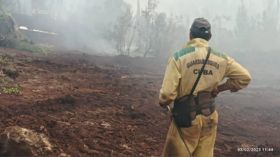 Incendio forestal activo causa grandes daños al este de Cuba