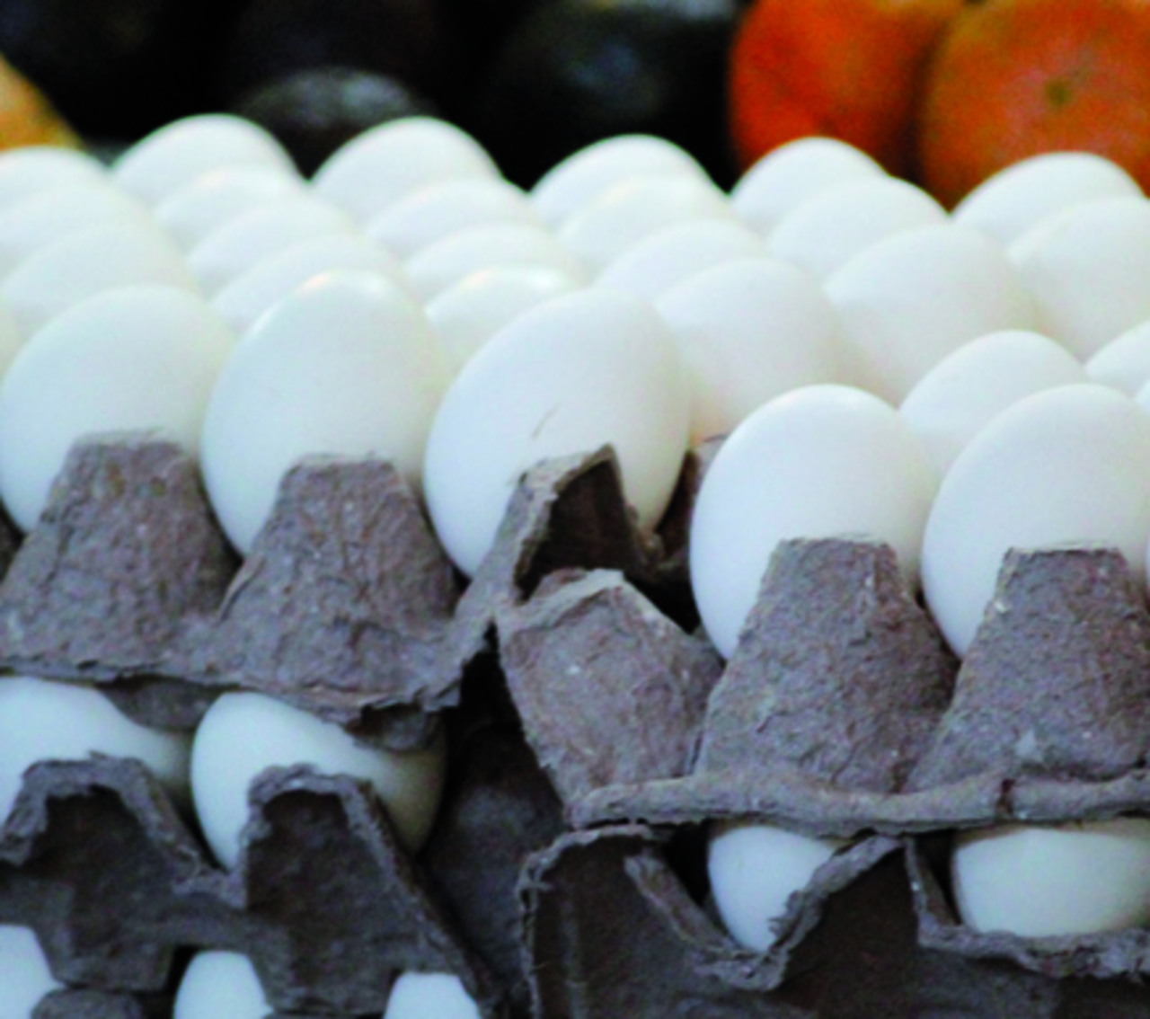 Durango reportó una producción de seis mil 363 toneladas de huevo en el primer mes de 2023. (EL SIGLO DE TORREÓN)