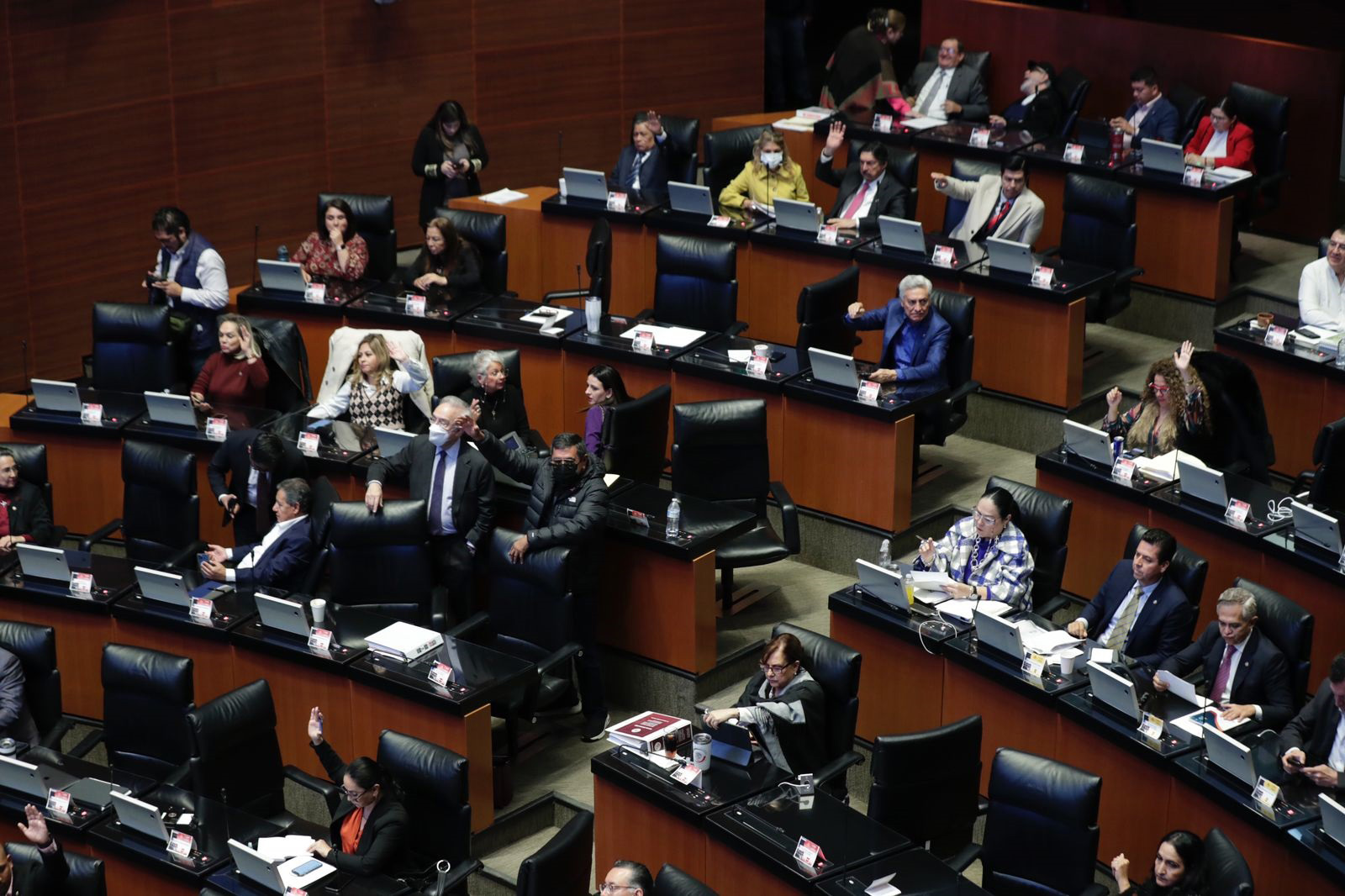 Este miércoles, se espera una amplia sesión en el Senado de la República. (ARCHIVO)