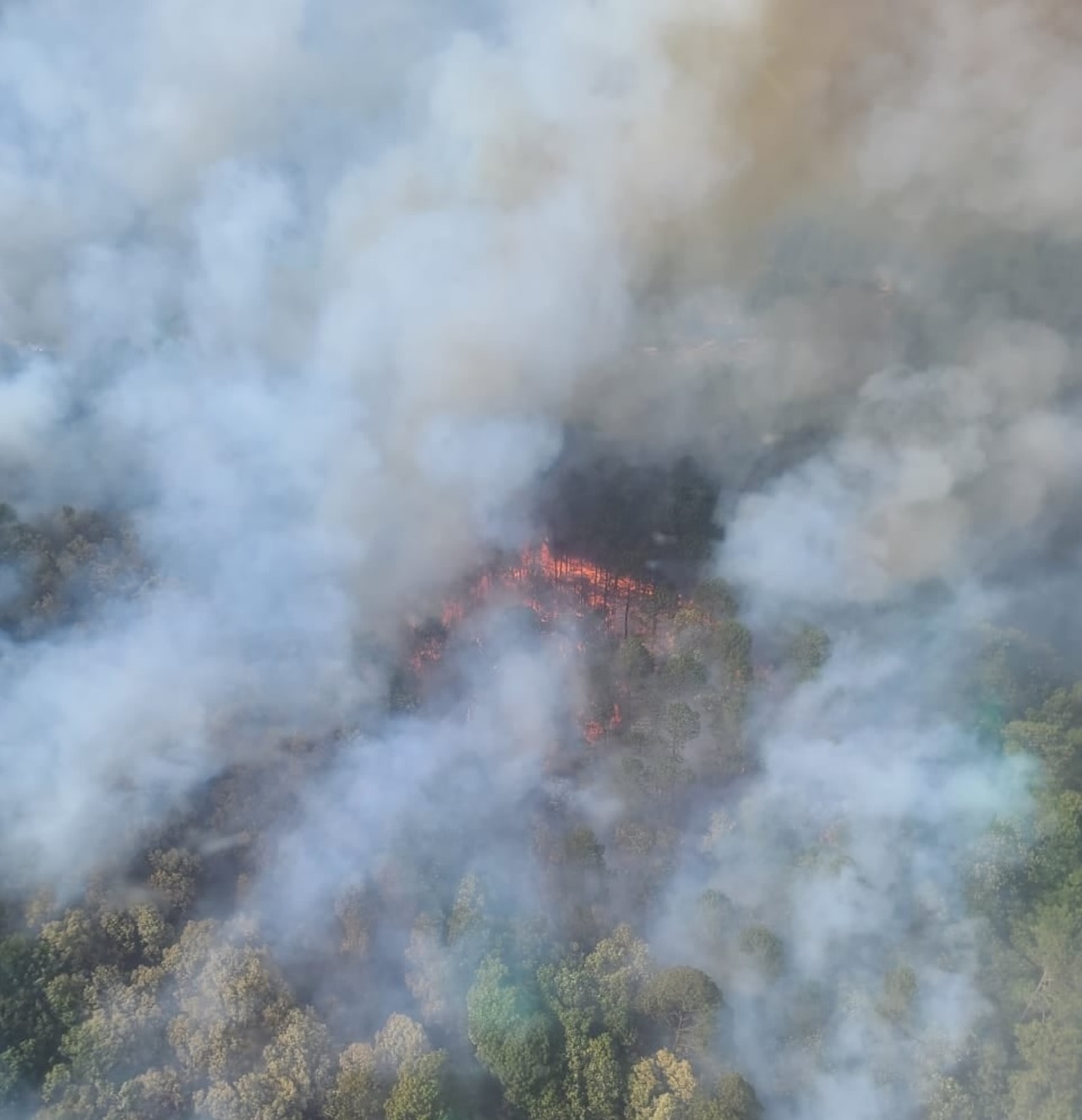 En Durango se han registrado 26 incendios, con una superficie afectada de 799 hectáreas, según datos de la Conafor al 16 de marzo. (EL SIGLO DE TORREÓN)