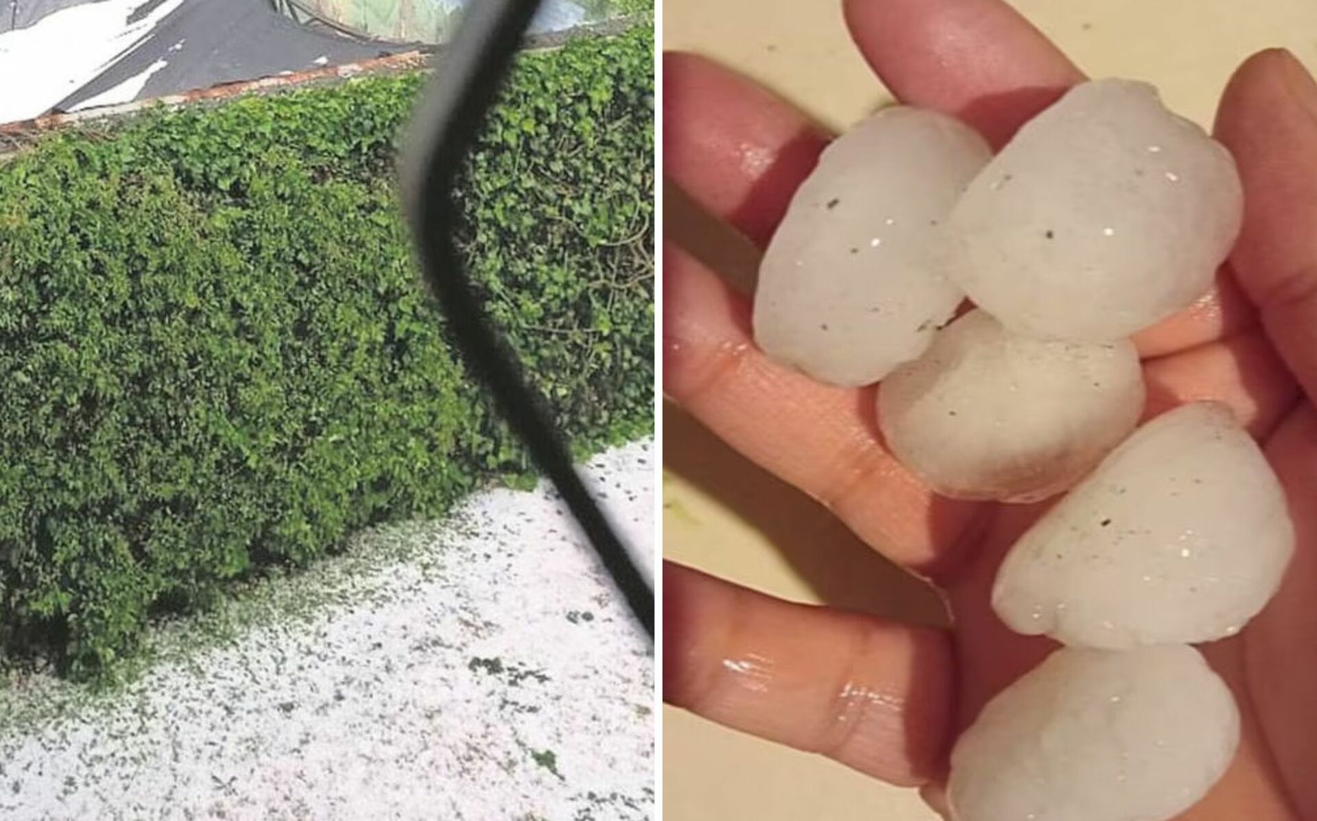 La granizada inició cerca de las 17:00 horas y se prolongó hasta el anochecer. (ESPECIAL)