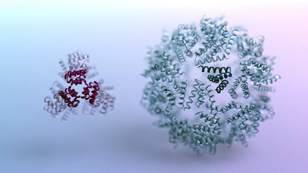 Científicos han logrado aplicar con éxito esta inteligencia artificial a un reto de la biología molecular: el diseño de proteínas.