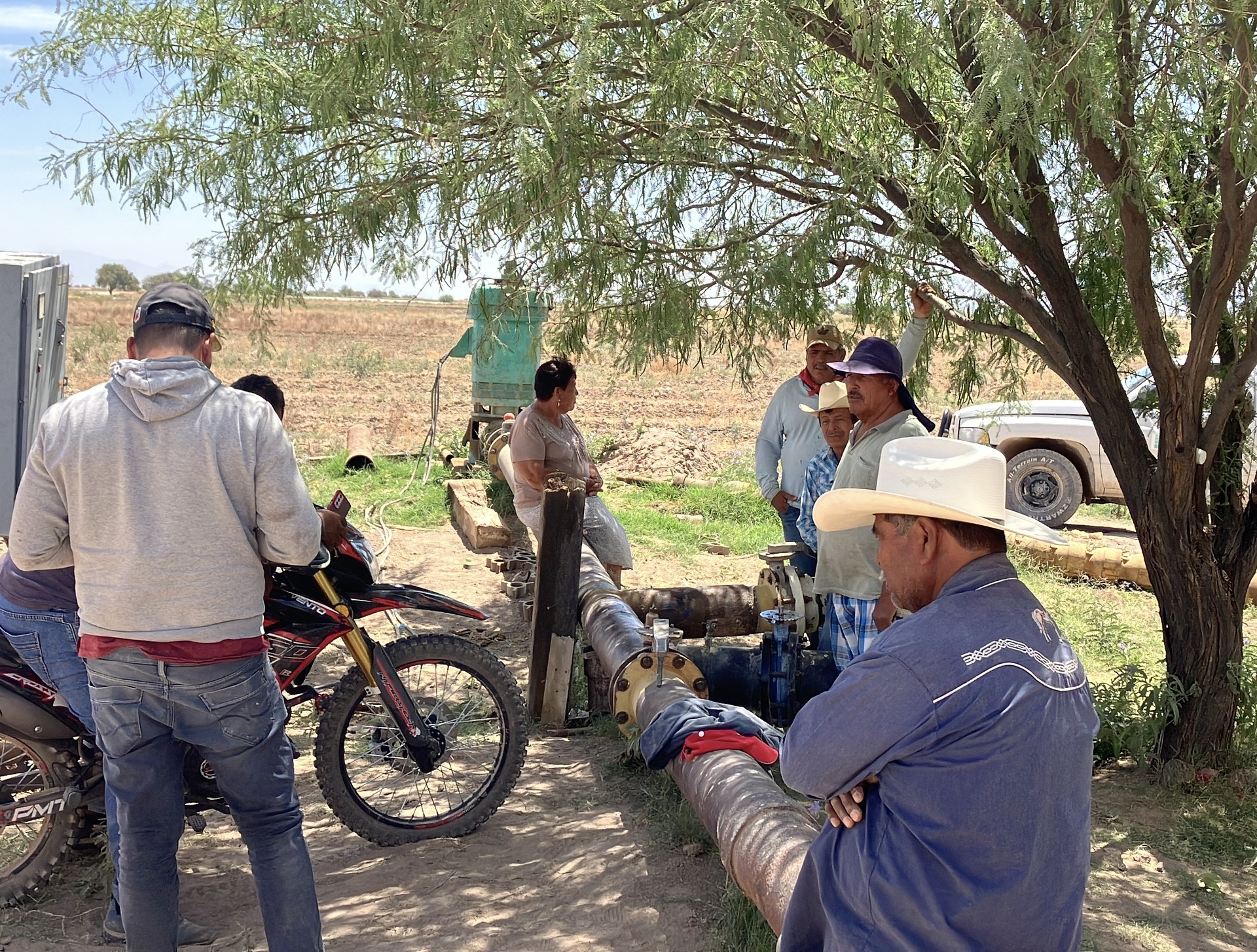Productores del ejido Nuevo Reynosa de Viesca tienen fe en el cultivo de melón
