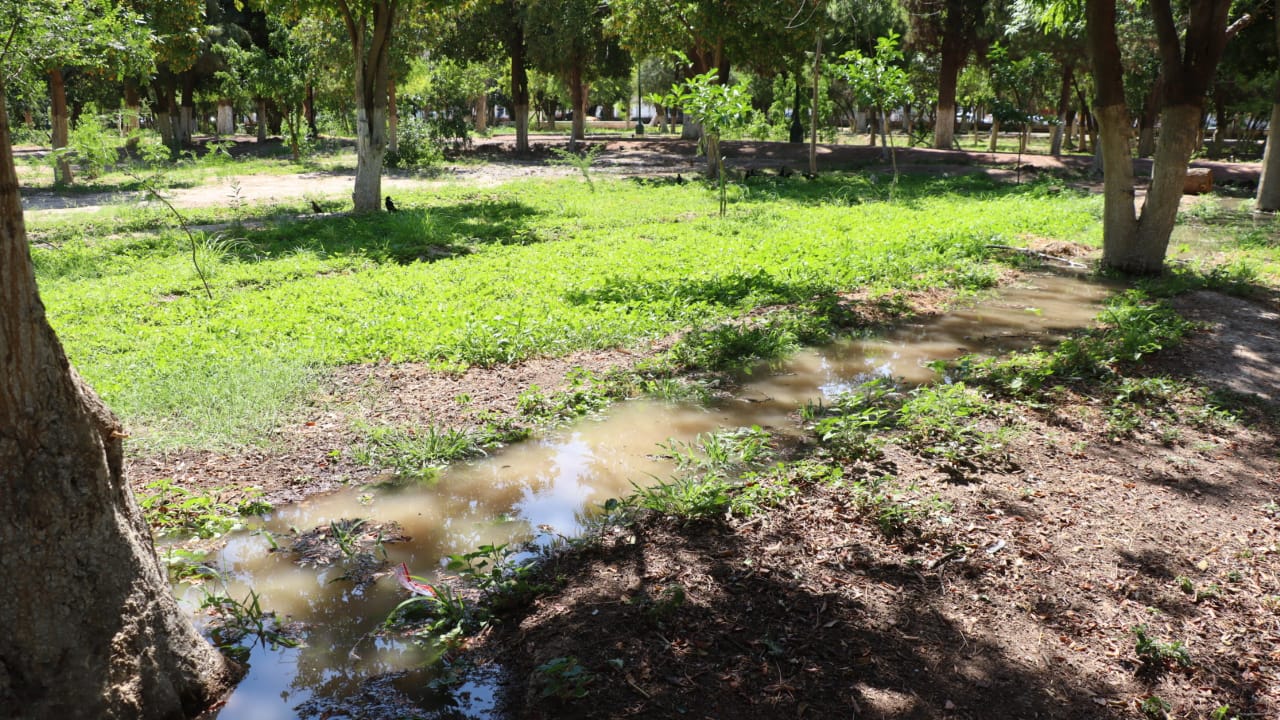 Parque Las Auras en Lerdo está listo para recibir agua de Ciclo Agrícola
