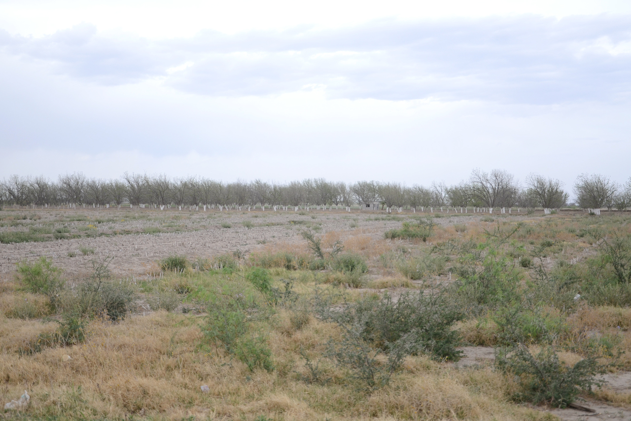 La sequía severa se presenta en 36 municipios de Durango. (EL SIGLO DE TORREÓN)