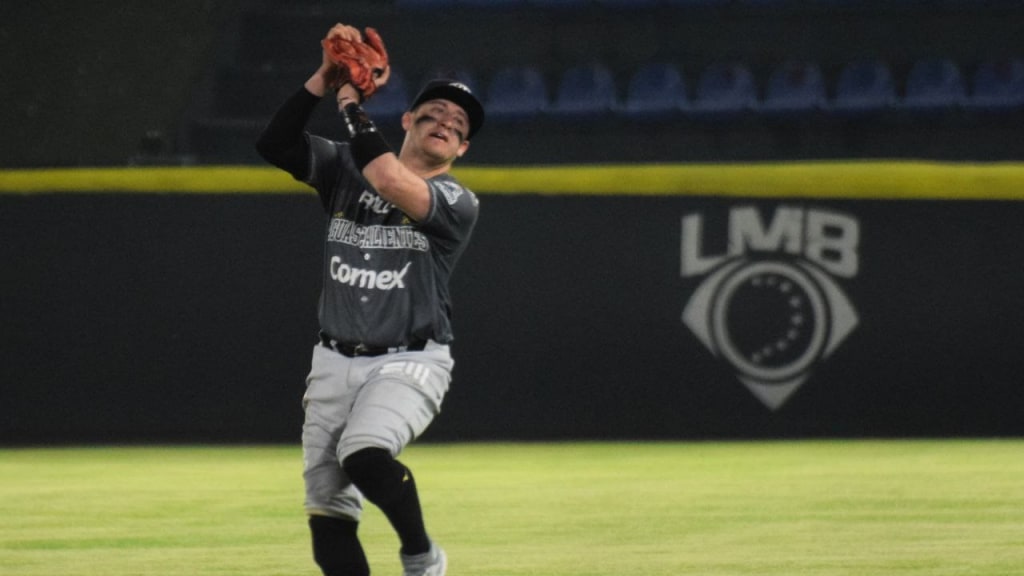 Rieleros de Aguascalientes se llevan serie de Puebla