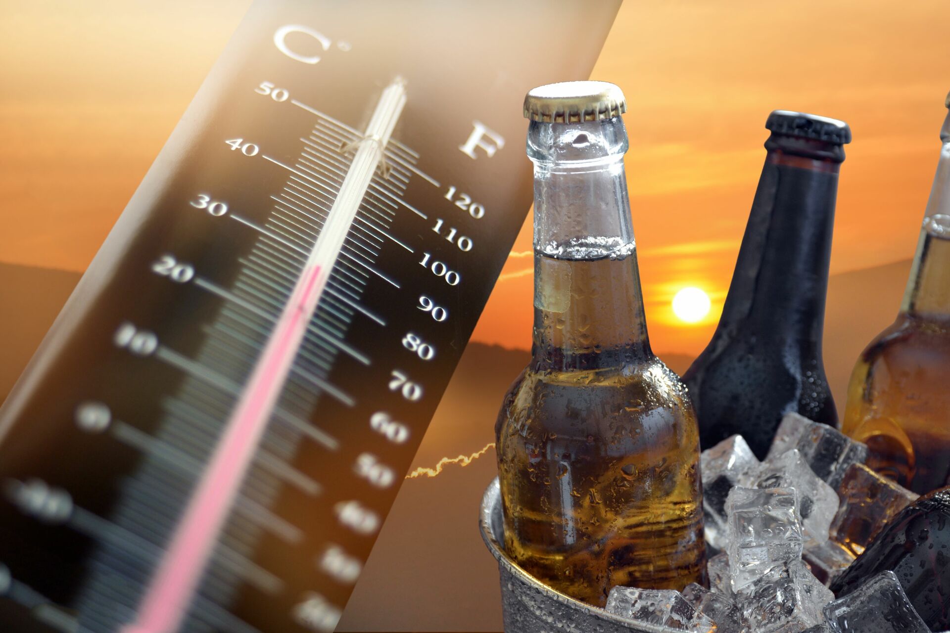 Según Miguel Herrero, científico del Instituto de Investigación en Ciencias de la Alimentación, el consumo de cerveza no es beneficioso para hidratarte.