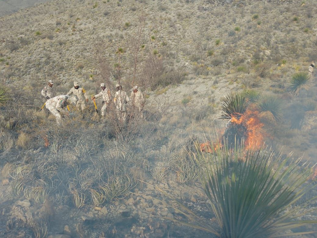 Secretaría de Medio Ambiente de Coahuila informa sobre incendios forestales activos y liquidados