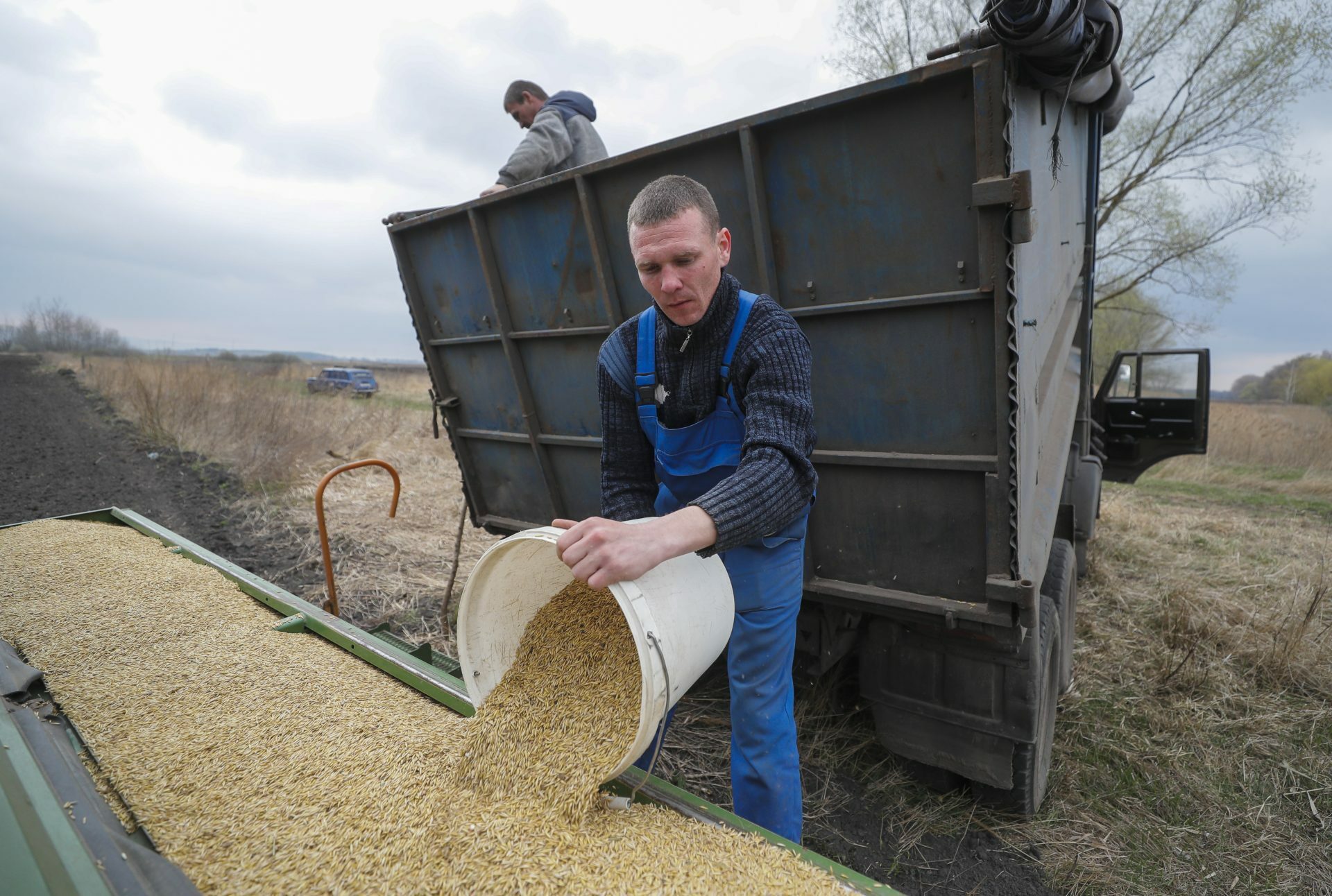 El aumento de los costes de seguros y logísticos, así como varios desafíos vinculados a la guerra, han golpeado duramente a los productores ucranianos. (TWITTER)