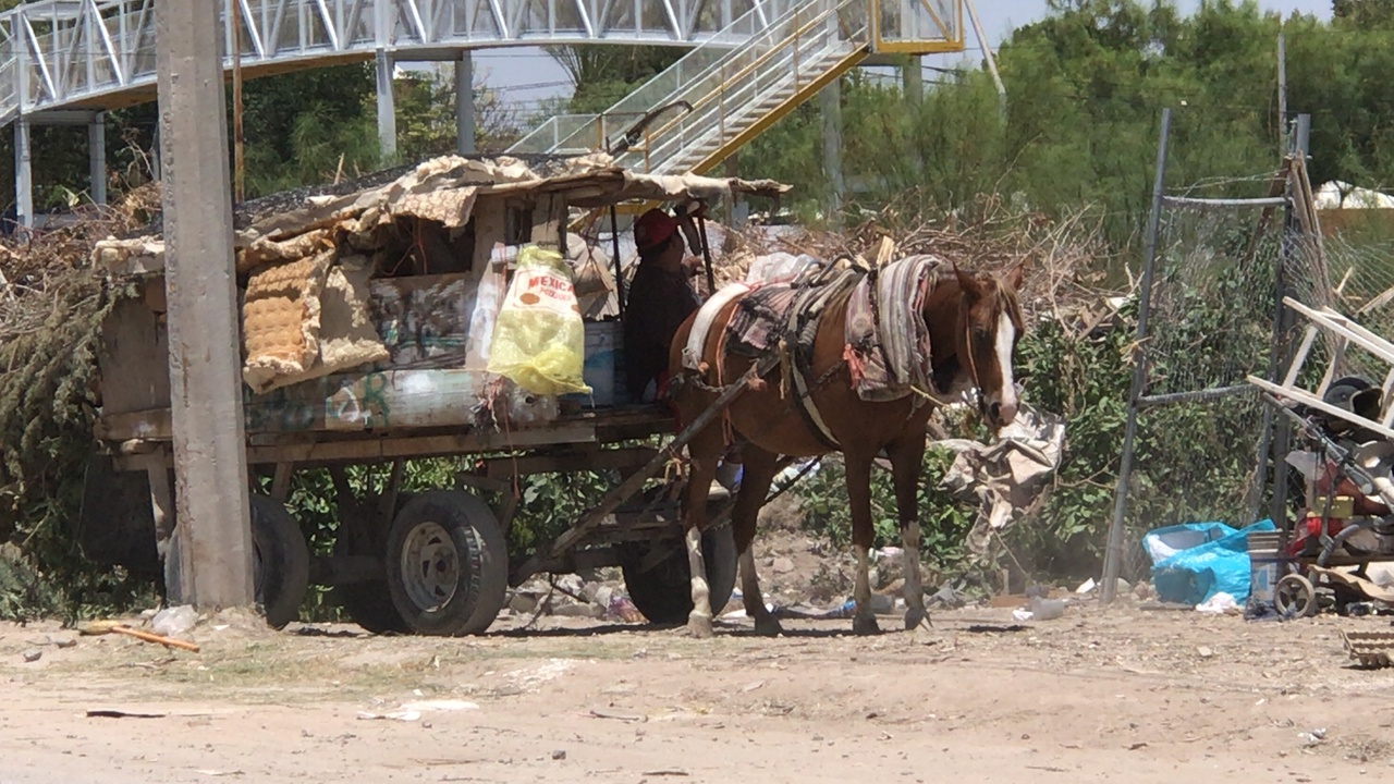 Busca el Municipio establecer un programa para sustituir los carromatos por vehículos motorizados. (FERNANDO COMPEÁN / EL SIGLO DE TORREÓN)