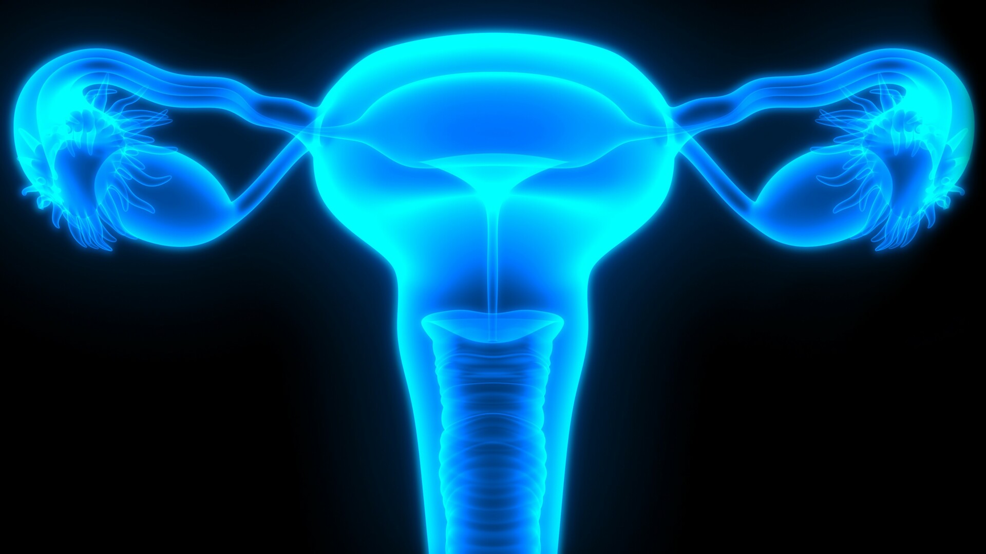 El prolapso de órganos pélvicos puede llegar hasta el 40 por ciento de las mujeres multíparas