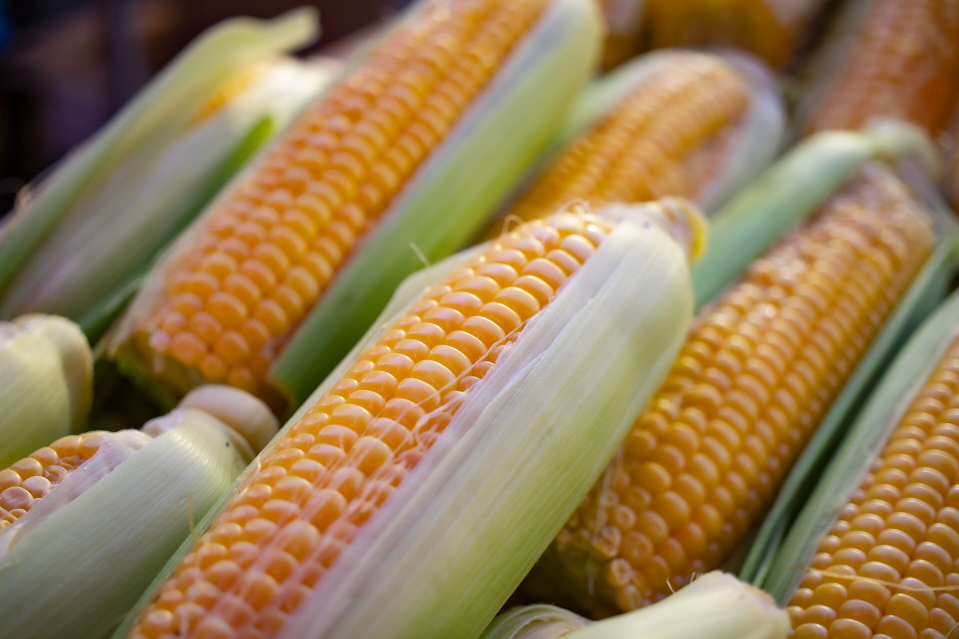 ¿Quiénes no deberían comer elote y por qué?