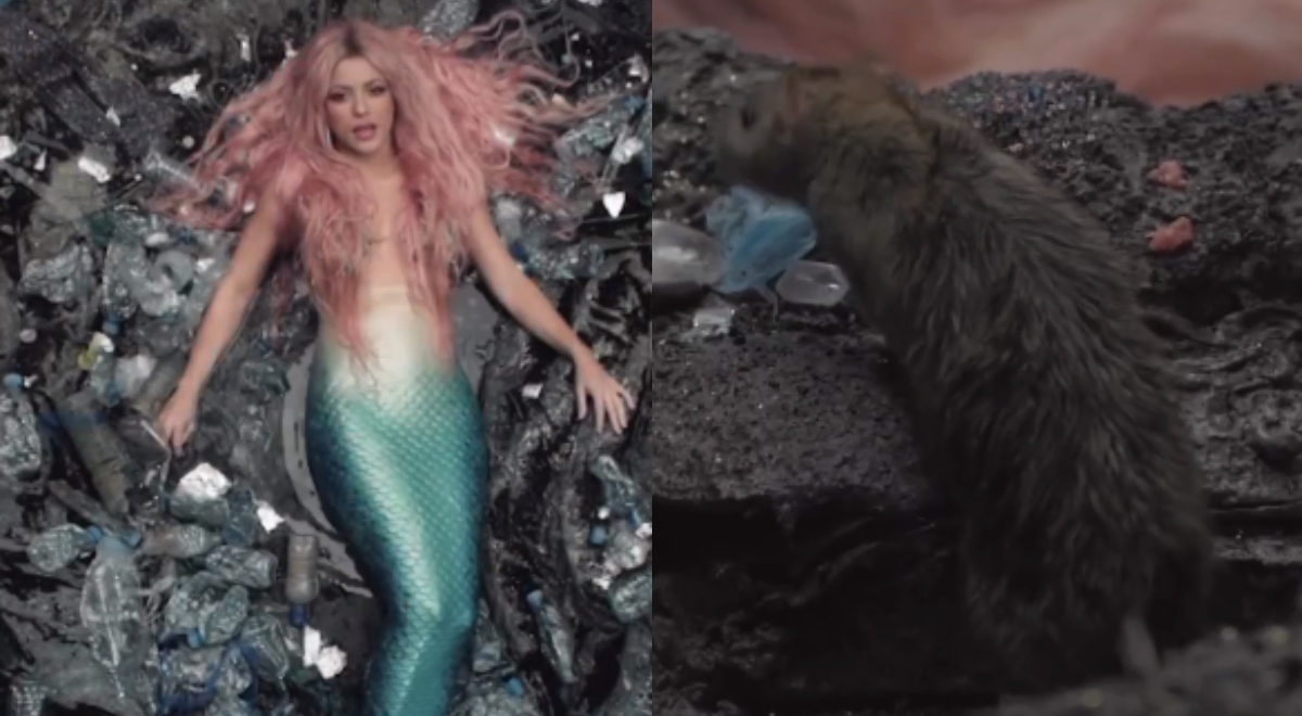 Por esto apareció la rata en el video de Copa Vacía de Shakira, ¿una representación de su relación con Piqué?