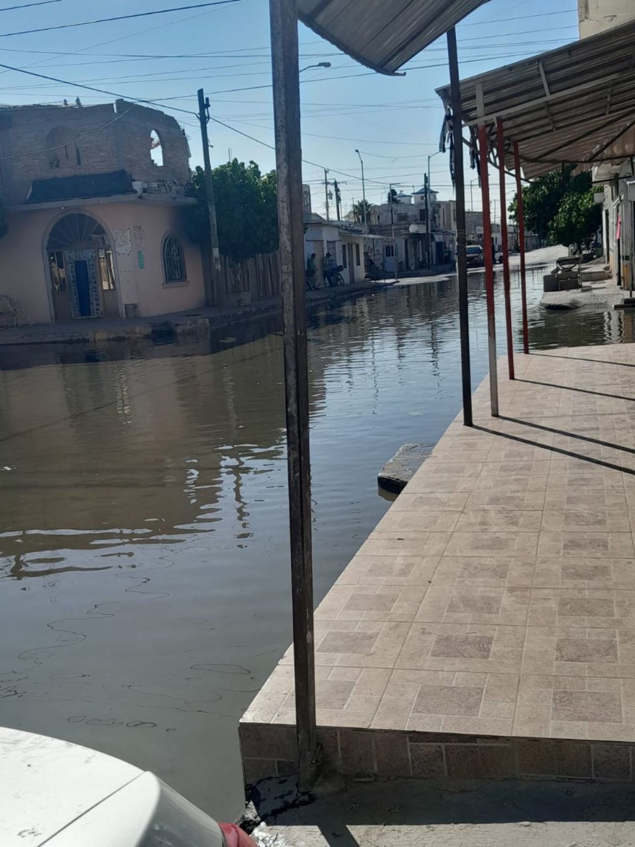 Colonos de Zaragoza Sur denuncian estancamiento de aguas residuales, que ya ha provocado enfermedades.