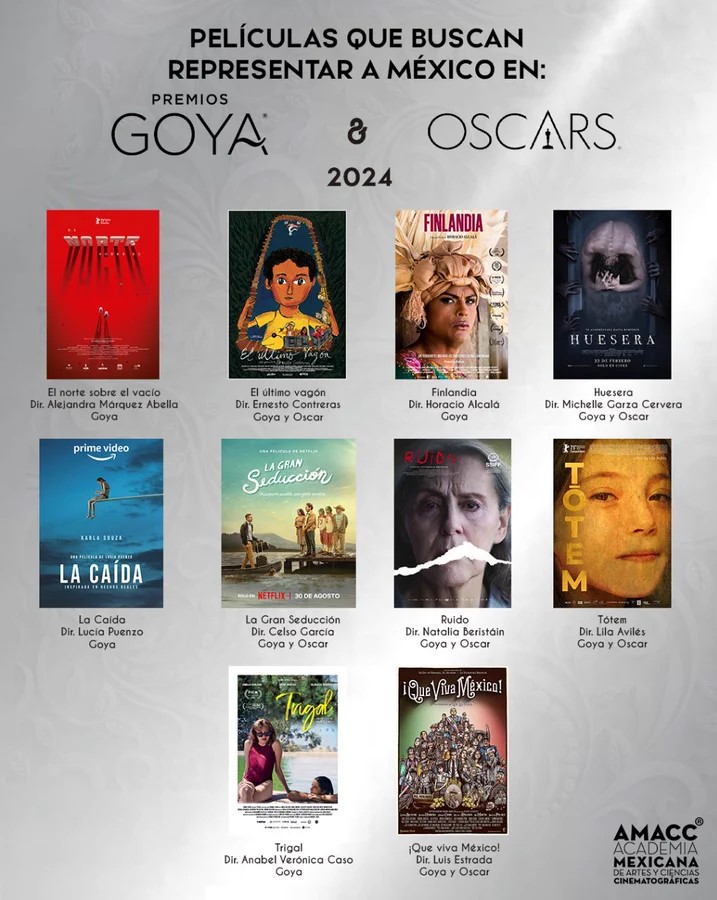 Conoce cuáles son las películas mexicanas que buscan llegar al Oscar